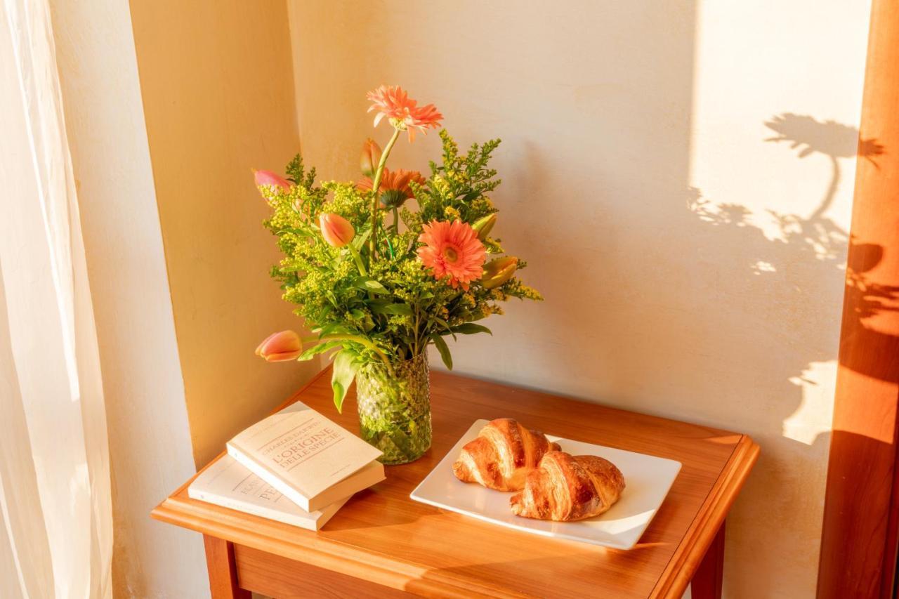 Mediterraneo Tartufoexperience Bed and Breakfast Πίτσο Εξωτερικό φωτογραφία